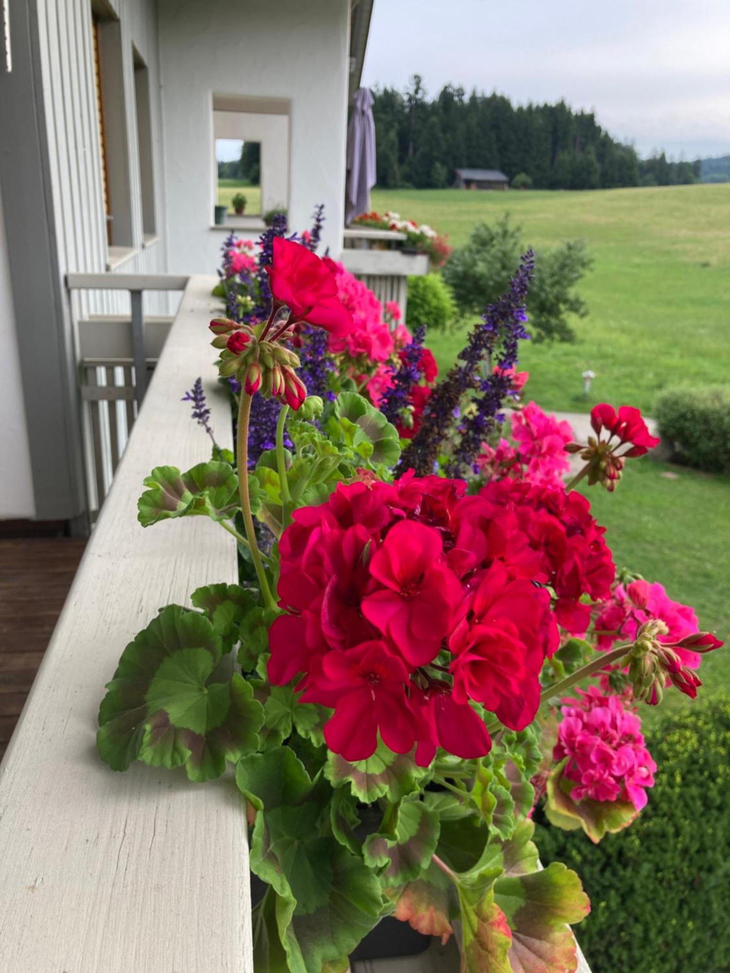 Ferienwohnungen Allgaeu-Bodensee 지그마르젤 외부 사진